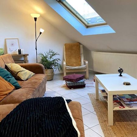10Min Bus Strasbourg Centre-Parking Prive-Wifi-Tv Apartman Bischheim Kültér fotó