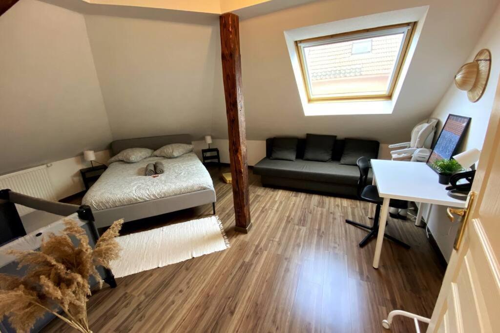10Min Bus Strasbourg Centre-Parking Prive-Wifi-Tv Apartman Bischheim Kültér fotó