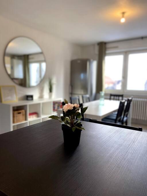 10Min Bus Strasbourg Centre-Parking Prive-Wifi-Tv Apartman Bischheim Kültér fotó
